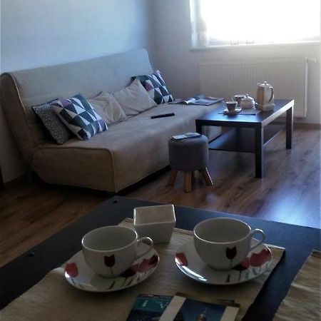 Sympatyczny Apartament Daire Gdansk Dış mekan fotoğraf